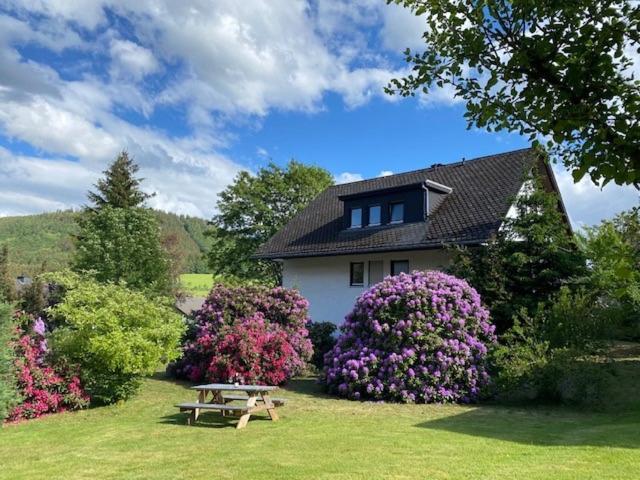 Ferienwohnung Auf der Platte 2 Winterberg Exterior foto